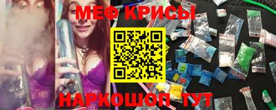 стаф Тара