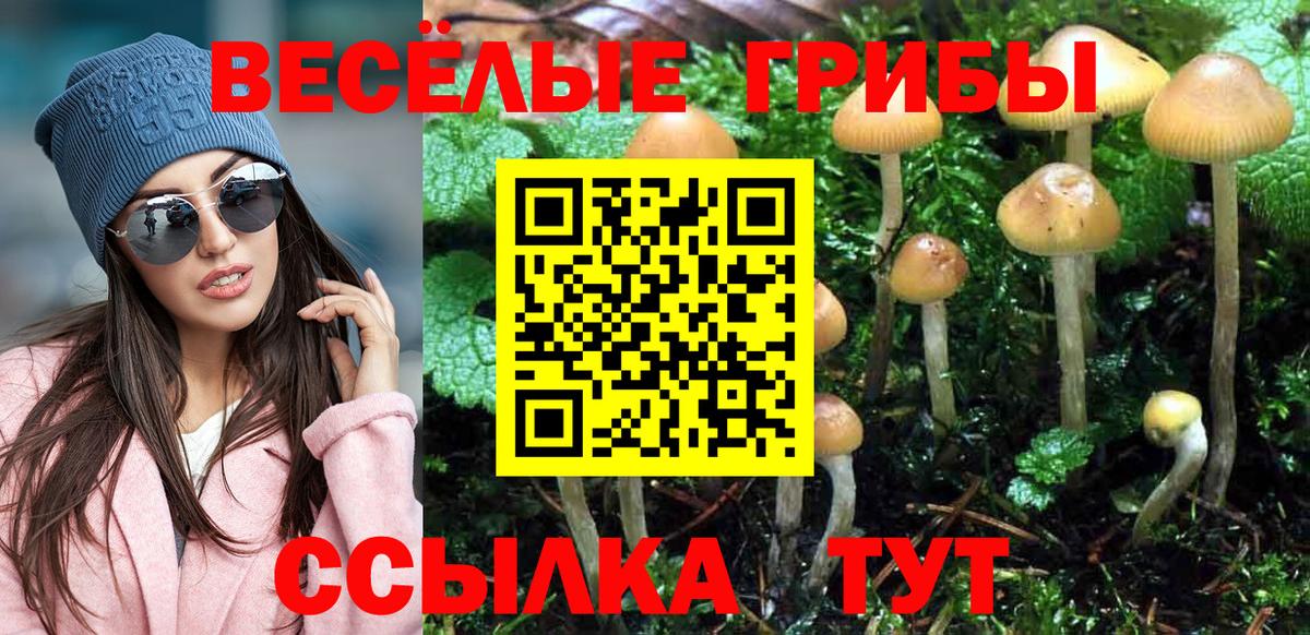 Псилоцибиновые грибы мухоморы Белорецк